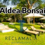 Aldea Bonsai