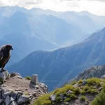 Qué es Bizum y cómo utilizarlo correctamente