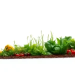 Plan de Fomento del Empleo Agrario PROFEA